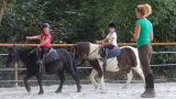bordeaux entre deux mers centre équestre poney club écurie équitation carignan (...)
