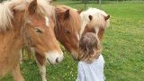 bordeaux ferme balade poney chèvre activité famille enfant gironde yvrac (...)